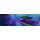Kingston FURY 32GB (2x16GB) 5600MHz CL40  Impact - 1116184 - zdjęcie 6